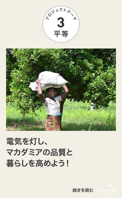 平等
