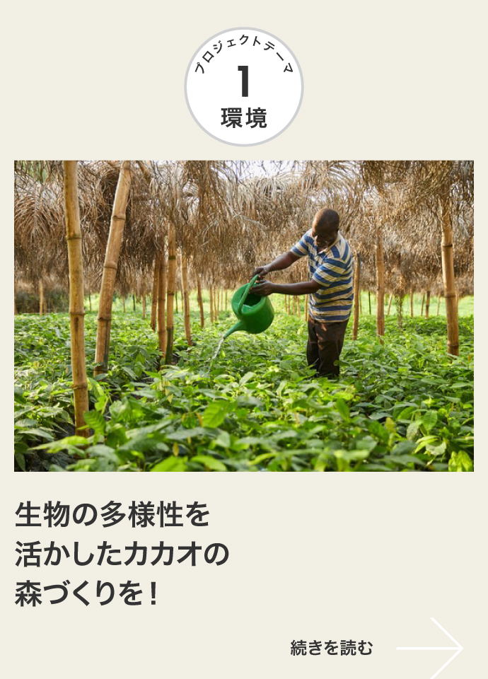 環境